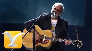 Yusuf Cat Stevens,  How Can I Tell You, Festival de Viña 2015 HD 1080p