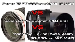 Тест телеобъективов: Canon 70-200/4.0L vs Canon 75-300/4-5.6 III vs Asanuma 90-230mm f4.5 M42