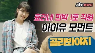 [JTBC Voyage] IU's journey from a rookie barista to all-round employee ♨ #Hyori's Bed and Breakfast