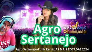 Agro Sertanejo-Funk Remix AS MAIS TOCADAS 2024 (Dj Nildo Mix o Embaixador)