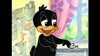 daffy uses a swear (without censors) (12) (read desc) (NOT FOR KIDS)