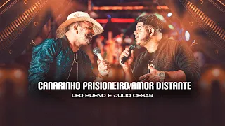 Canarinho Prisioneiro/Amor Distante - Leo Bueno e Julio Cesar