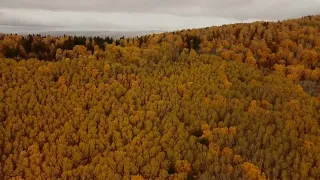 Золотая осень на Южном Урале