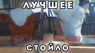 ДЕЛАЕМ СТОЙЛО ДЛЯ ТЕЛЯТ! ОЧЕНЬ УДОБНО.