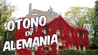 Otoño en Alemania - 7 motivos para alegrarse