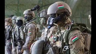 Hungarian Defense Forces - Small , But Powerful