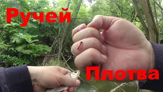 #356 #Мормышинг | Микро ручей | Плотва |