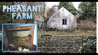 Decayed House Full of Trinkets | Abandoned England | Abandoned Places UK | Lost Places England