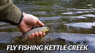Fly Fishing Kettle Creek - Two Days in Potter County
