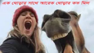 Animals Unexpected Attack On Human - Funny Animals Attack || PETASTIC 🐾@Animal Planet, Wild Animals#