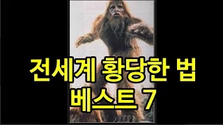 세계의 황당한 법규 베스트 7