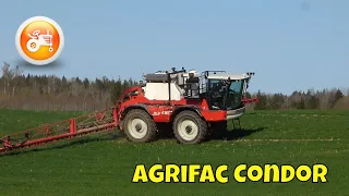 Spraying 2024 | Agrifac Condor self propelled sprayer