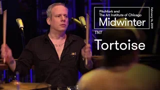 Tortoise | TNT Full Set | Midwinter 2019