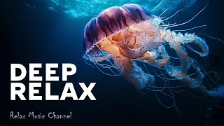 Underwater Serenity: A Mesmerizing Jellyfish Symphony | 1 Hour Relaxation Music