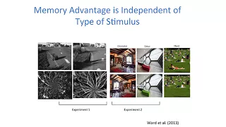 Variations of the Mind:Jamie Ward: Synaesthesia:From Extraordinary Experiences to Enhanced Abilities