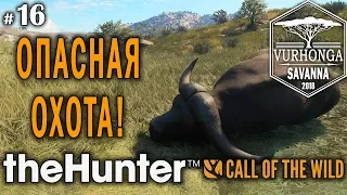 theHunter Call of the Wild #16 🔫 - Опасная Охота - Лук, Арбалет - Буйвол, Гну