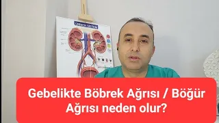 Gebelikte Böbrek Ağrısı / Böğür Ağrısı Neden Olur?