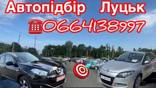 Nissan Qashqai +2 / Renault Megane GT/Bose. Що знайшли замовникам на ринку в Луцьку?! #автопідбір
