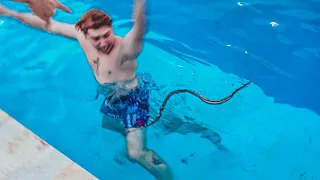 A COBRA APARECEU NA PISCINA DA CASA NOVA * não veja se tiver medo * 😭😭😭😭😭😭