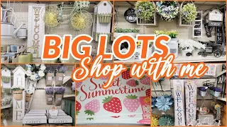 BIG LOTS SPRING AND SUMMER 2024 HOME DECOR SHOP WITH ME