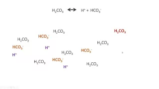 Chemical Buffering Systems: bicarbonate buffer