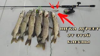 ЩУКА НА КАЖДОМ ЗАБРОСЕ! КОЛЕБАЛКА РУЛИТ! Рыбалка со спиннингом летом / Fishing