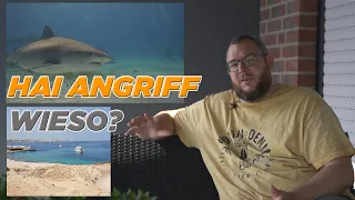 Hai Angriff in Hurghada - Tigerhai in Ägypten - Wieso? Shark Attack Analyse