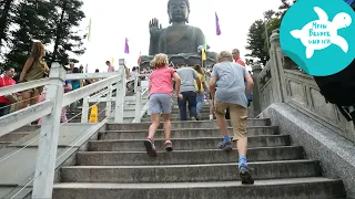 Hinauf zum großen Buddha | Mein Bruder und ich in Hongkong | SWR Kindernetz