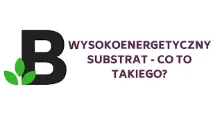 czym jest WYSOKOENERGETYCZNY SUBSTRAT - KOREPETYCJE z BIOLOGII - 73