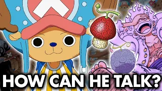 What is the model of Chopper's fruit?? | ONE PIECE theories