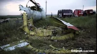 MH17: is this the end of Malaysian Airlines?