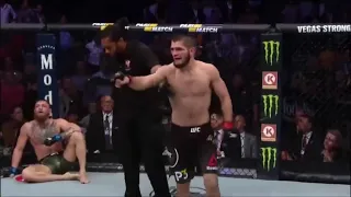 Khabib vs Mcgregor ending (wtf happened?!)