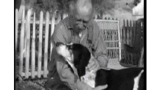 Lassie - Episode #244 - "Cully's Hound Dog"- Season 7 Ep. 25 - 03/05/1961