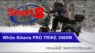 Электротрицикл White Siberia PRO TRIKE 3000W, обзор - smart8.by