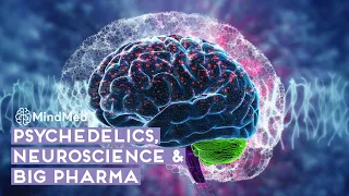 Psychedelics, Neuroscience & Big Pharma - Interview with Rob Barrow | MindMed