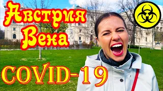 Австрия. Вена перед закрытием. Улетели ПОСЛЕДНИМ РЕЙСОМ!!!