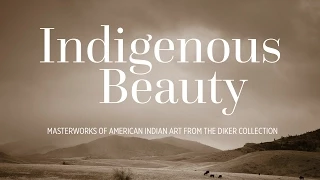 Indigenous Beauty: Masterworks of American Indian Art from the Diker Collection