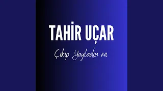 Çıkıp Yayladın mı