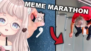 they fell for THIS? | VTuber Fuwa reacts to Daily Dose of Internet and SO MANY MEMES
