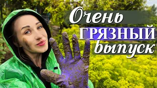 ДАЧА, ЛИВЕНЬ, ОГОРОД | КИКИМОРА НА ГРЯДКАХ | ОБЗОР НАШЕЙ ДАЧИ ПО ОВОЩАМ