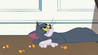 TOM AND JERRY NEW EPISODE