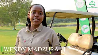 Seed Co Zimbabwe Annual Golf Day 2022 Highlights