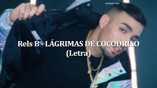 Rels B - LÁGRIMAS DE COCODRILO (LETRA/LYRICS)