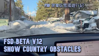 Tesla FSD beta v12 Handling Snow Country Obstacles