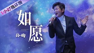 好听到爆的神仙翻唱！孙楠深情演绎《如愿》和王菲唱出不一样的味道（一小时循环版）| 中国音乐电视 Music TV