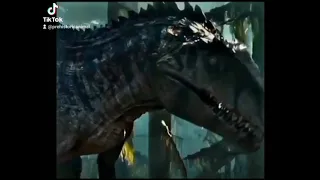 Biggest carnivore the world had ever seen (Giganotosaurus)