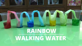 RAINBOW WALKING WATER | Walking Water Experiment | Capillary Action Explained |