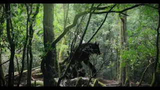 SCARIEST DOGMAN ON VIDEO!! - Terrified Man Gets Close To Film Creepy Dogman Werewolf On Camera!!