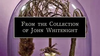 From the Collection of John Whitenight | Woven Strands