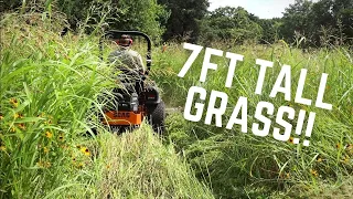 MOWING 7 FT TALL GRASS - Mowing Tall, Thick Grass (Extremely Overgrown!) with Scag Zero Turn Mower